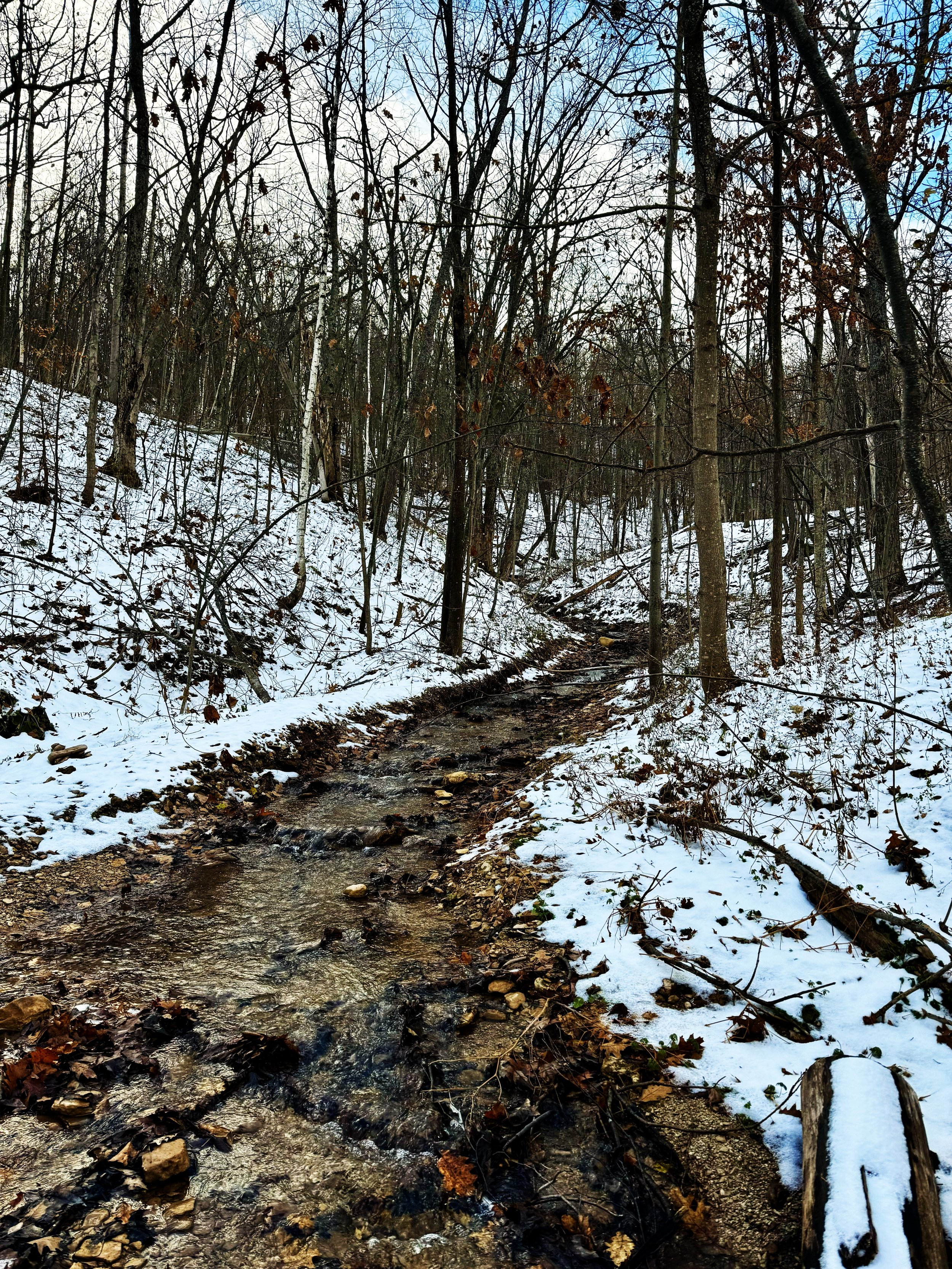 Blue Mountains, ON, Canada