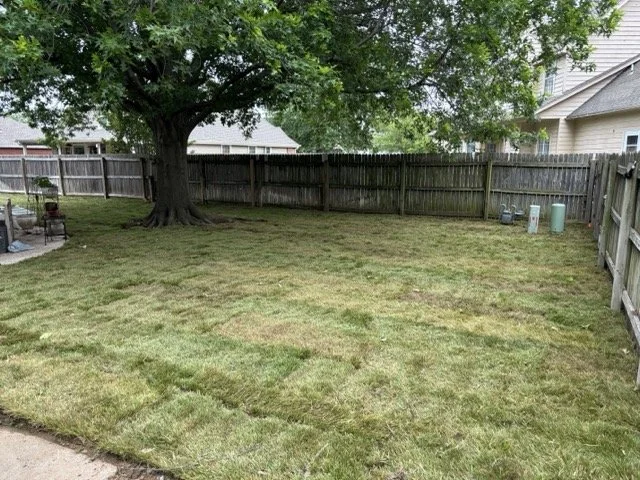 fescue sod in broken arrow back yard