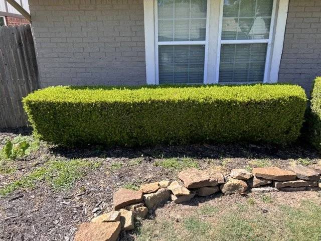 Landscaped Bushes Tulsa Medium.jpeg