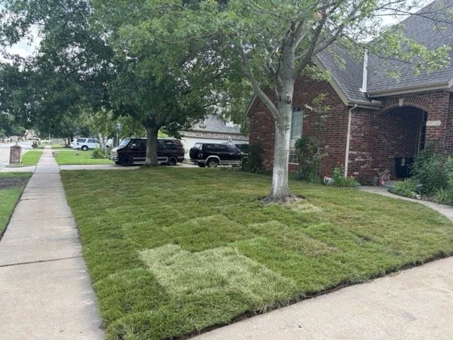 fescue Sod Laid in Broken Arrow Front Yard