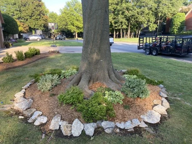 Landscaped tree bed Medium.jpeg