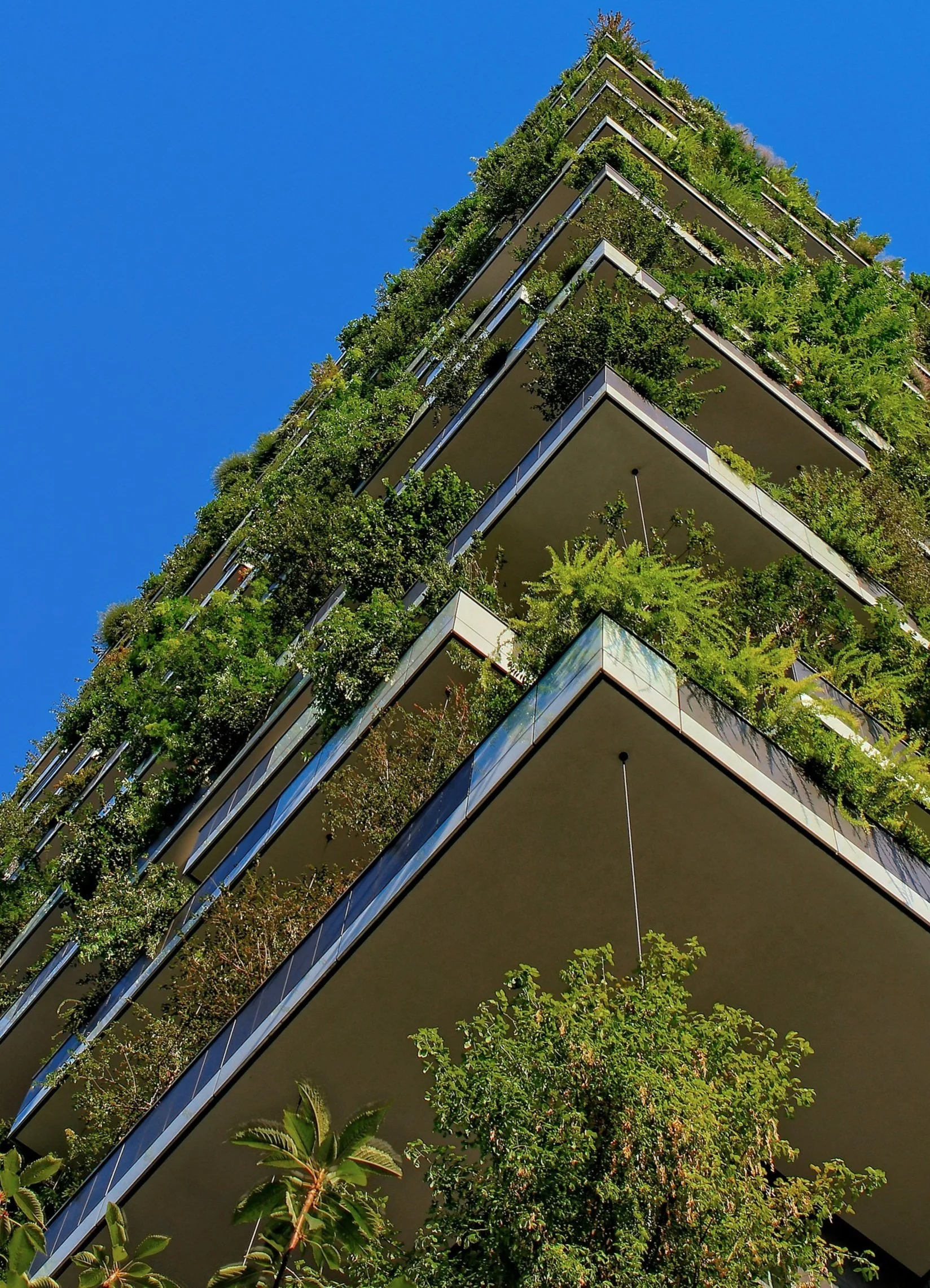 A modern high-rise building with multiple balconies filled with lush green plants and trees, against a bright blue sky.