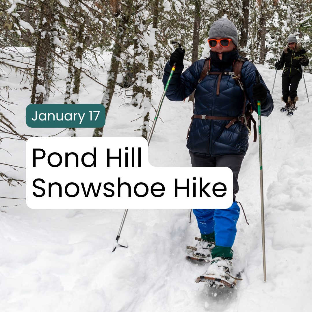 Pond Hill Snowshoe Hike - January 17