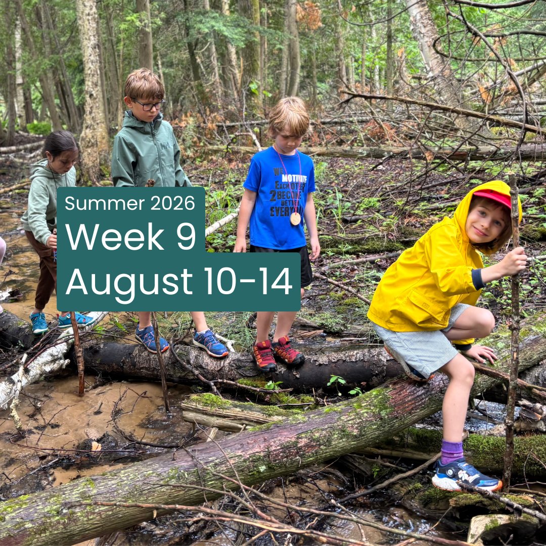 Day Camp Week 9: August 10 - 14