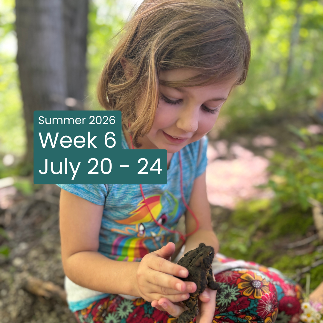 Day Camp Week 6: July 20 - 24