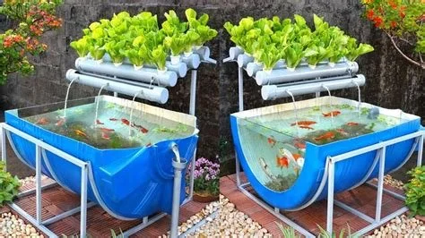 Aquaponics3.jpg