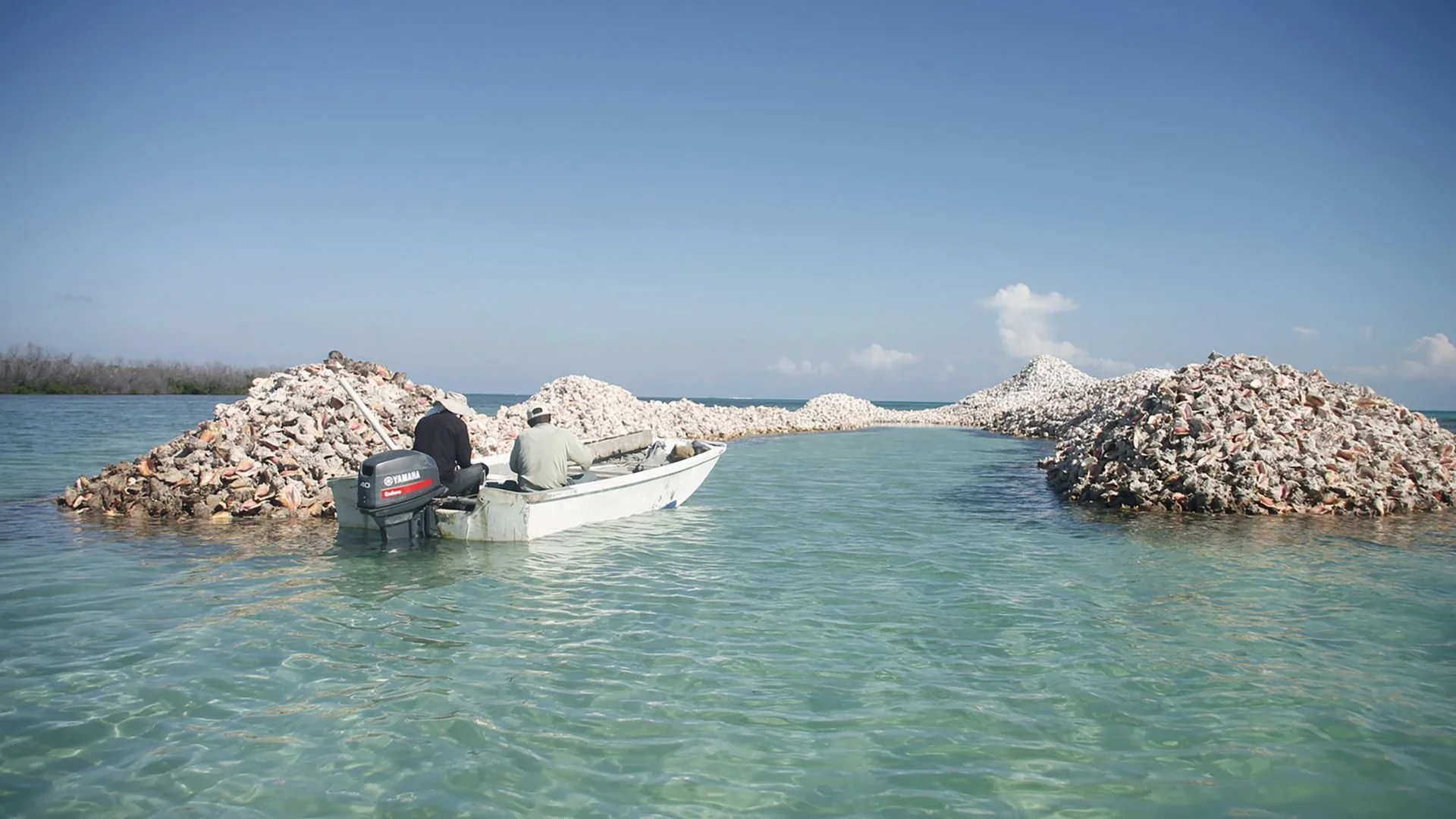 Conch Island in Anegada.jpg