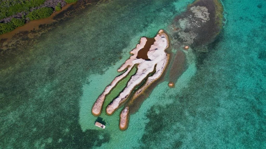 conch-island-2 (1).jpg