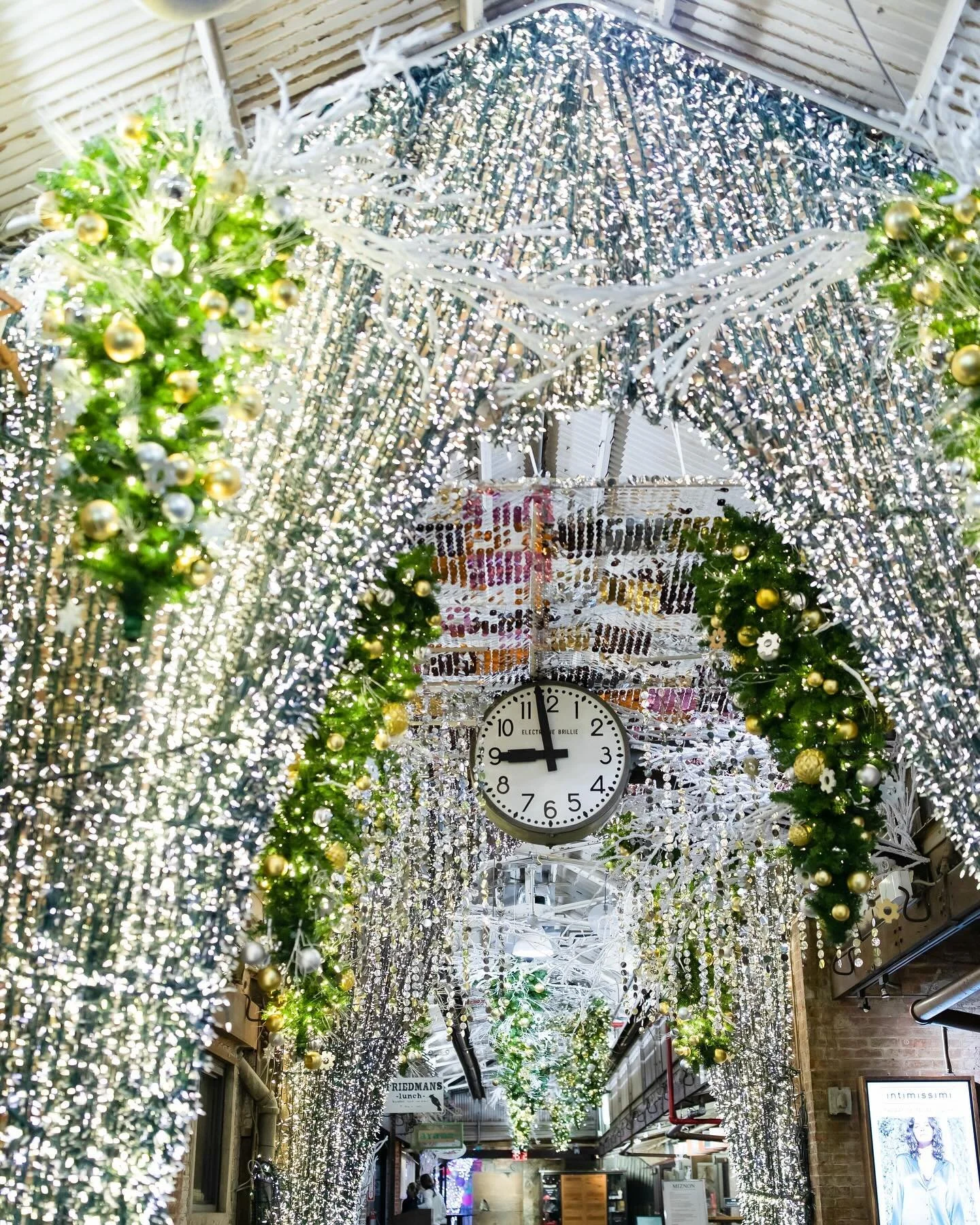 Seasonal holiday lighting and decor