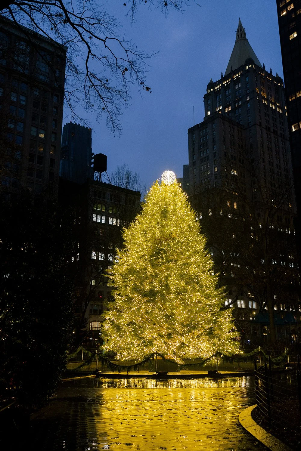 Lighting holiday installation at Madison Square Park in New York City