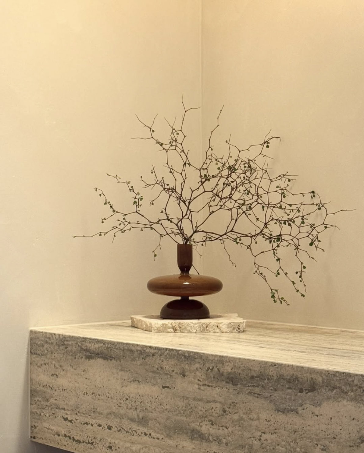 Screenshot 2026-02-20 at 1.58.06 PM.png