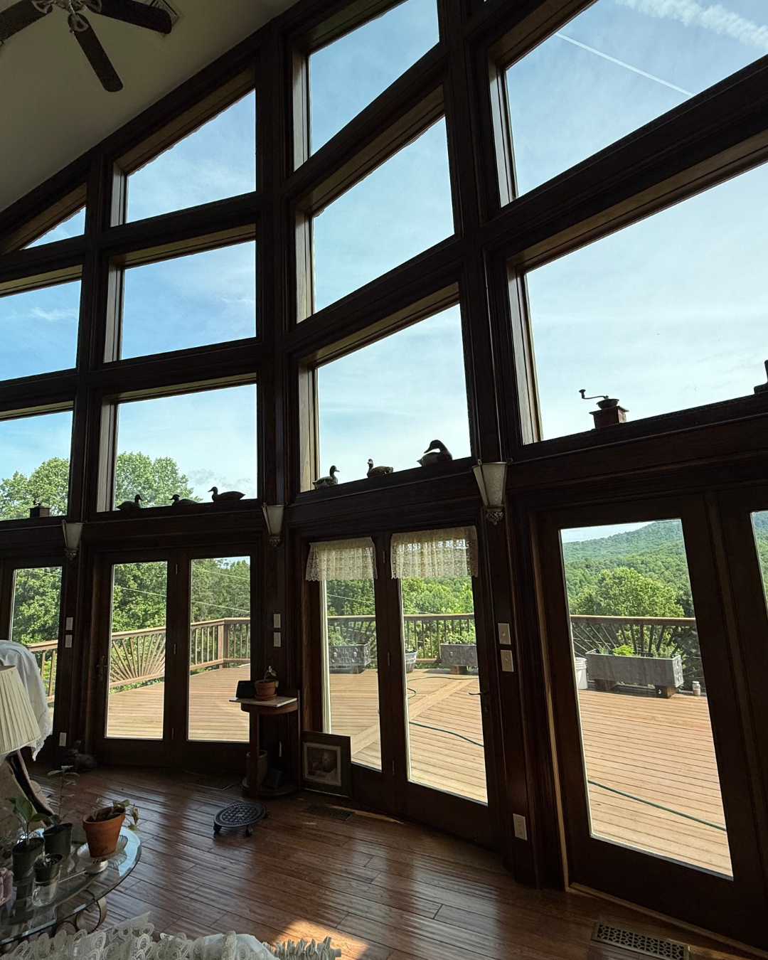 Top 5 Reasons to Schedule Window Cleaning, Pressure Washing, and Soft Washing in Christiansburg &amp; Blacksburg