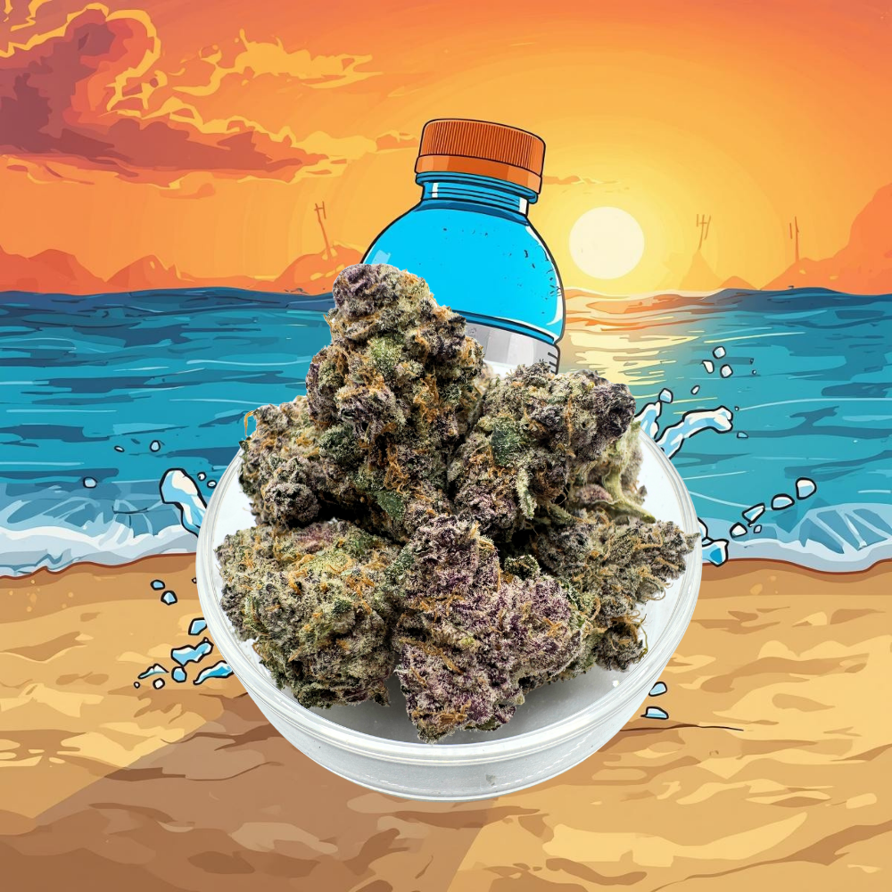 $88 1/2oz Special* Blue Gator-Aid by Jointman23 | 28.30% THC | SATIVA