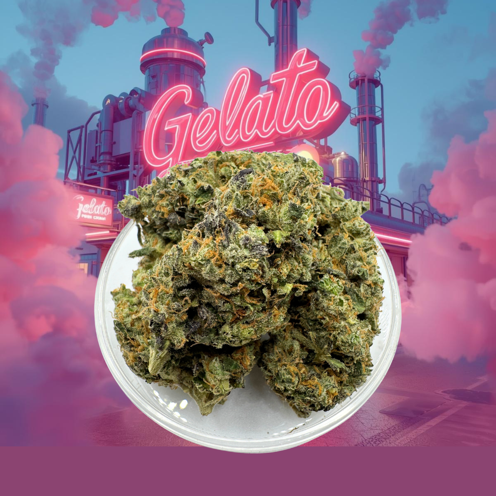 *$80 1/2oz Special* Gelato Diesel | Gelato #33 x Sour Diesel | 27.07% THC | SATIVA