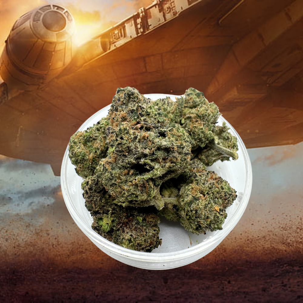 Han Solo Burger | GMO Cookies x Larry OG | 29.88% THC | INDICA [Cali Pk]