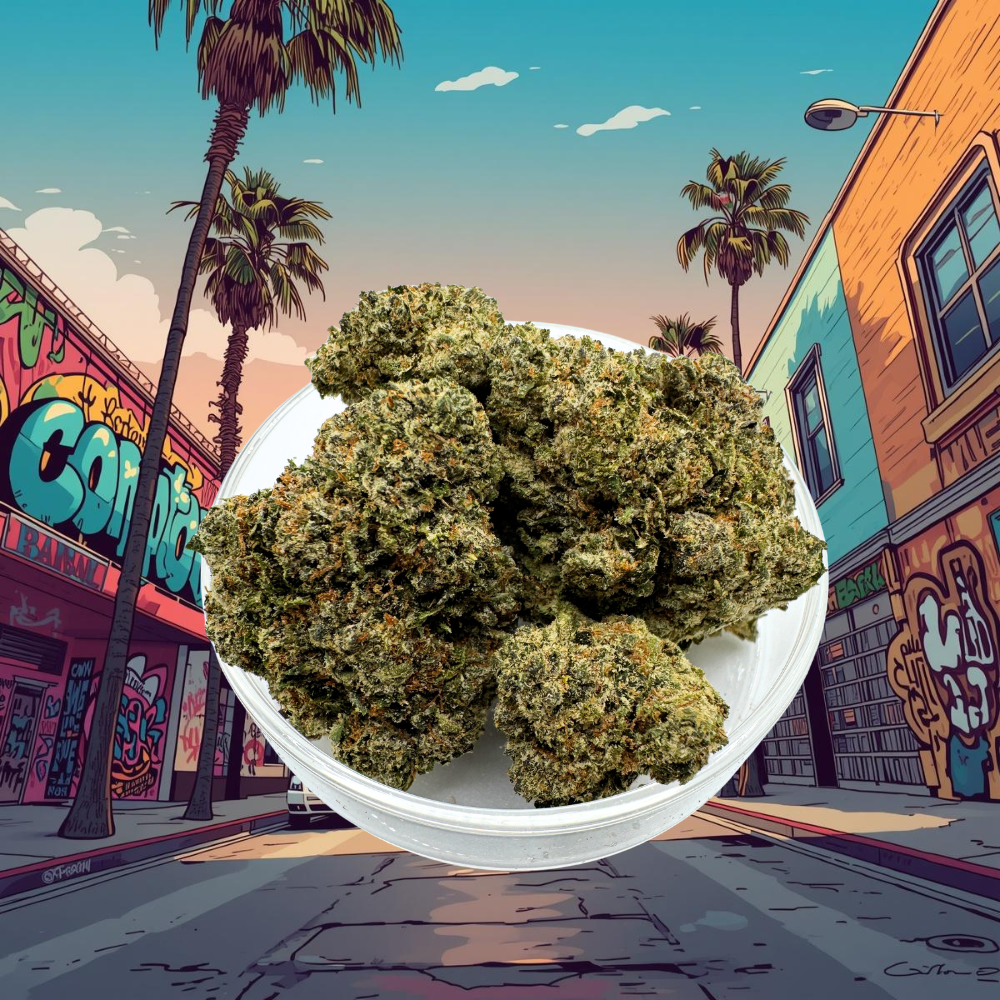 Untitled design (79).png (Copy)