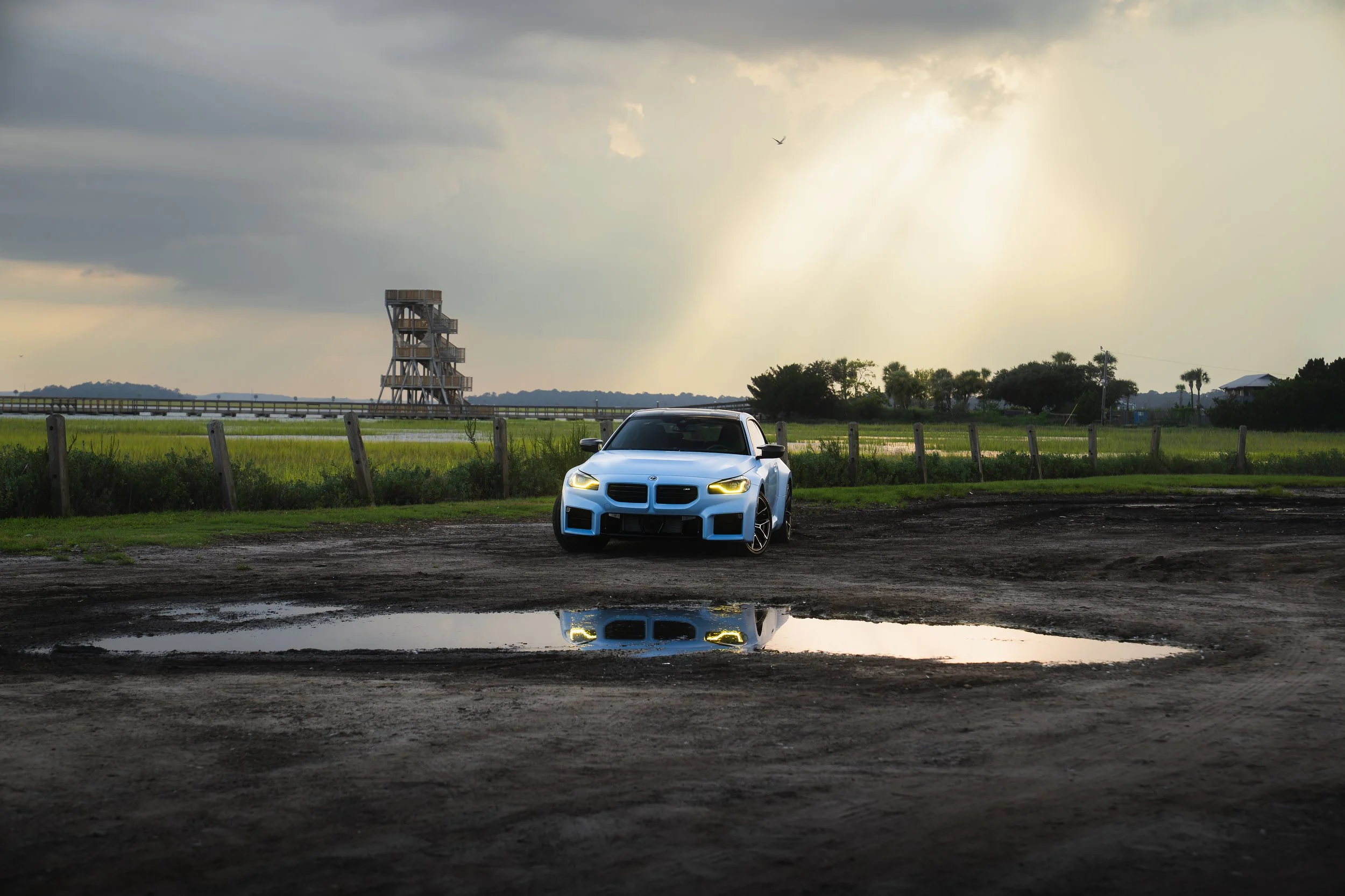 Savannah Roots, Global Reach