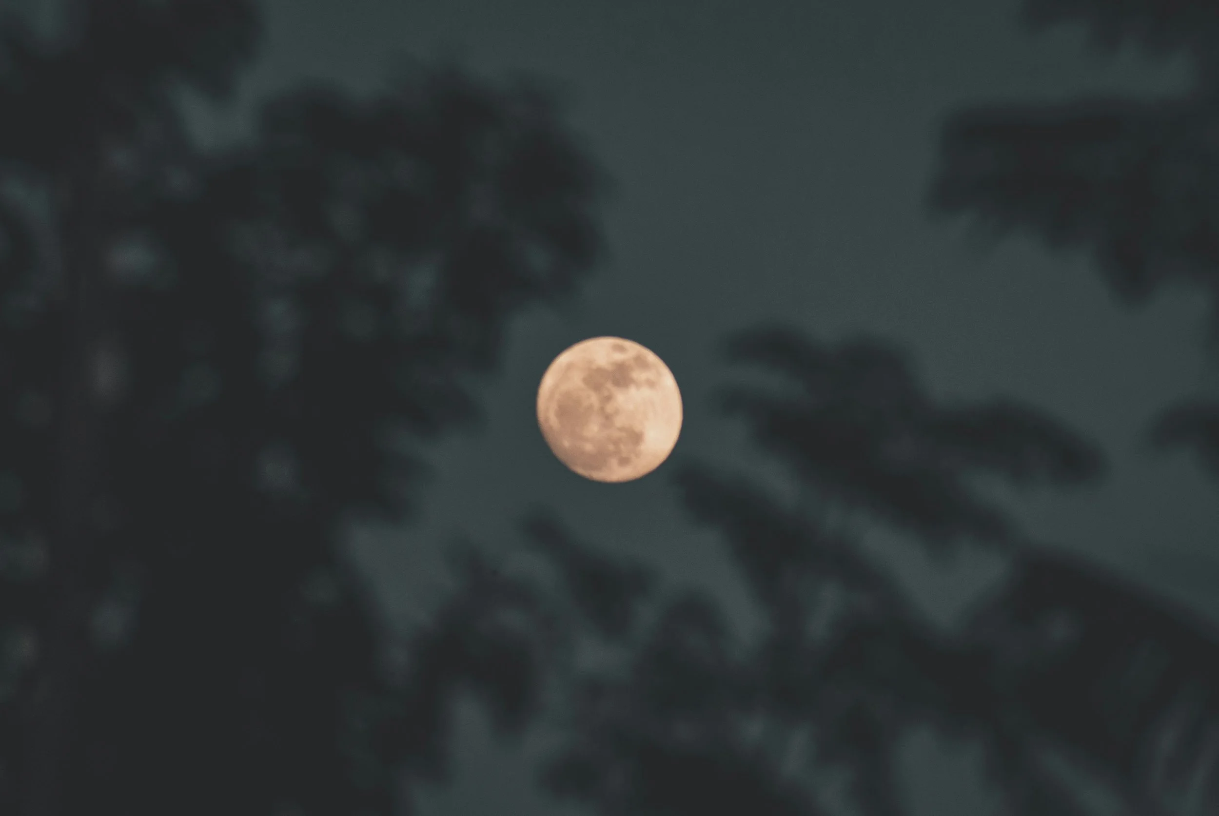 Astrology Forecast: November 2025