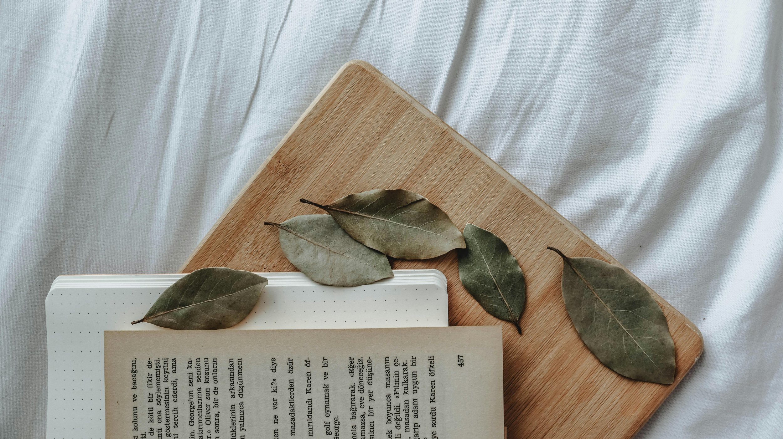 Ritual for Mercury Retrograde in Sagittarius