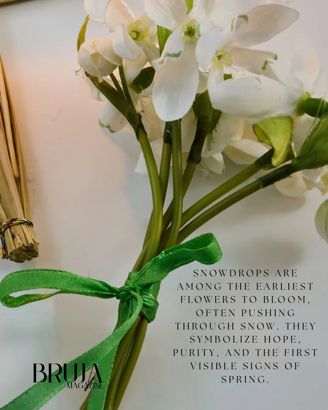 Bruja Maazine Brigid Imbolc 6.jpg