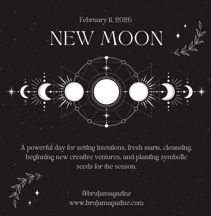 New Moon: The Quiet Seed