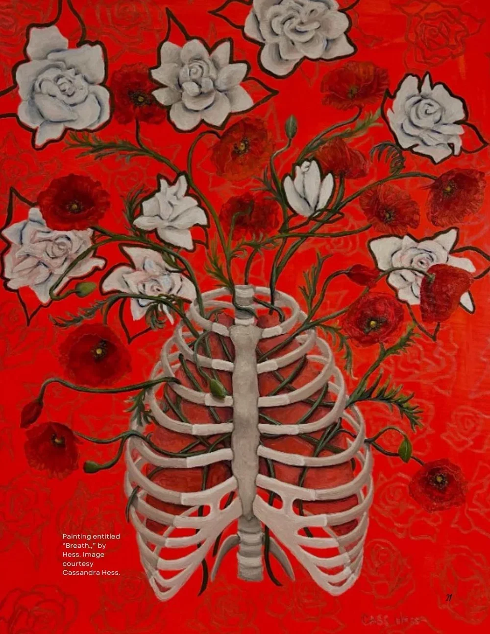 Artist Feature: Cassandra Hess