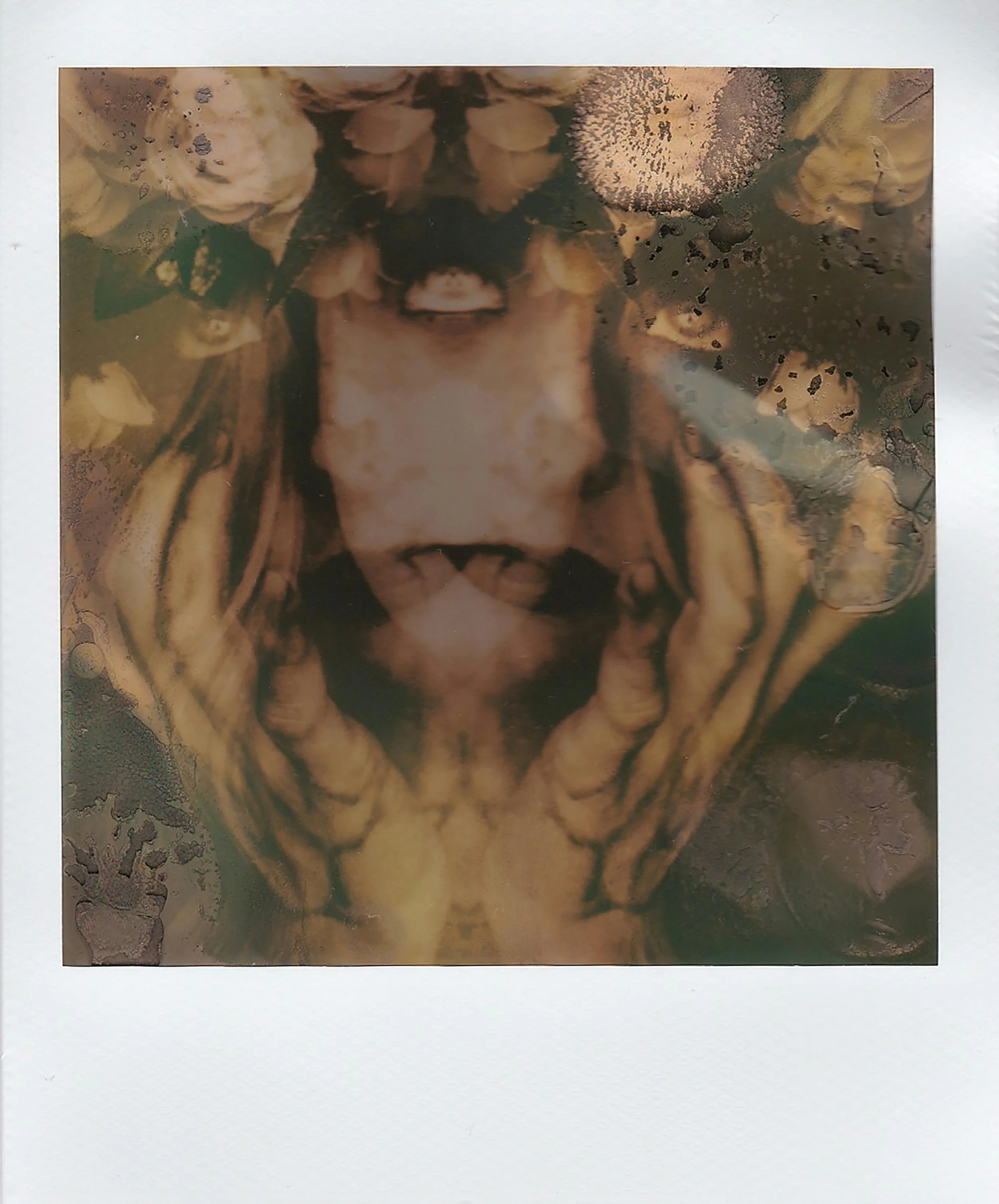 Photographic Inspirations for April: Photography by Lisa Fotios