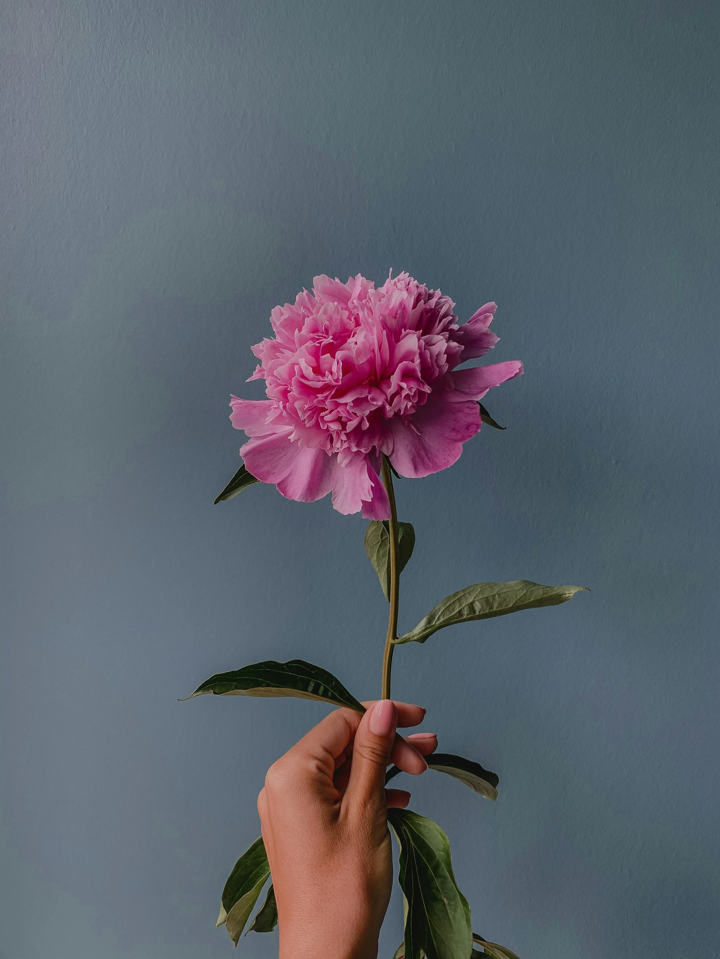 pexels-kseniya-budko-58499146-8341047.jpg