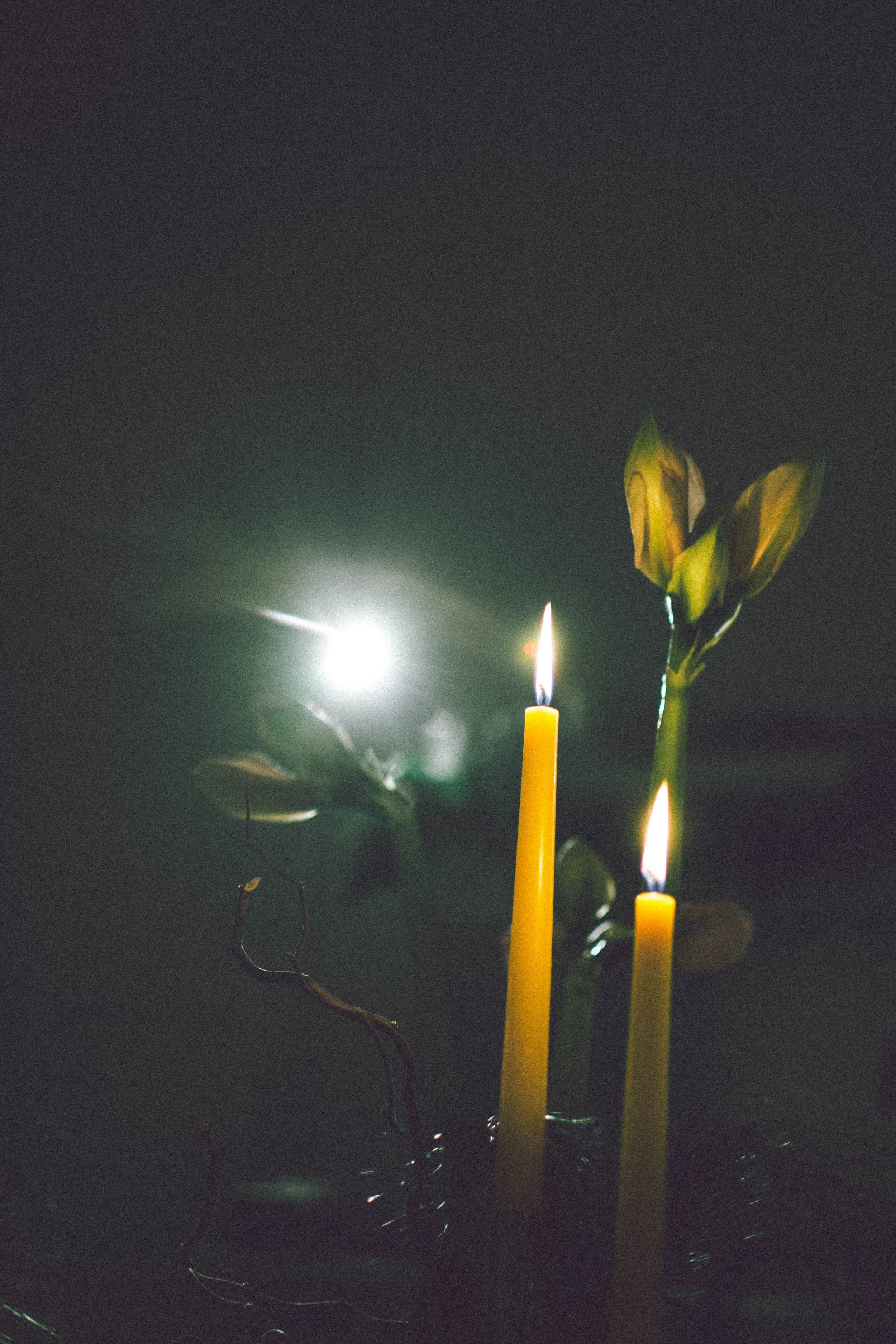 A Mid-Summer Ritual for Gratitude and Quiet Abundance