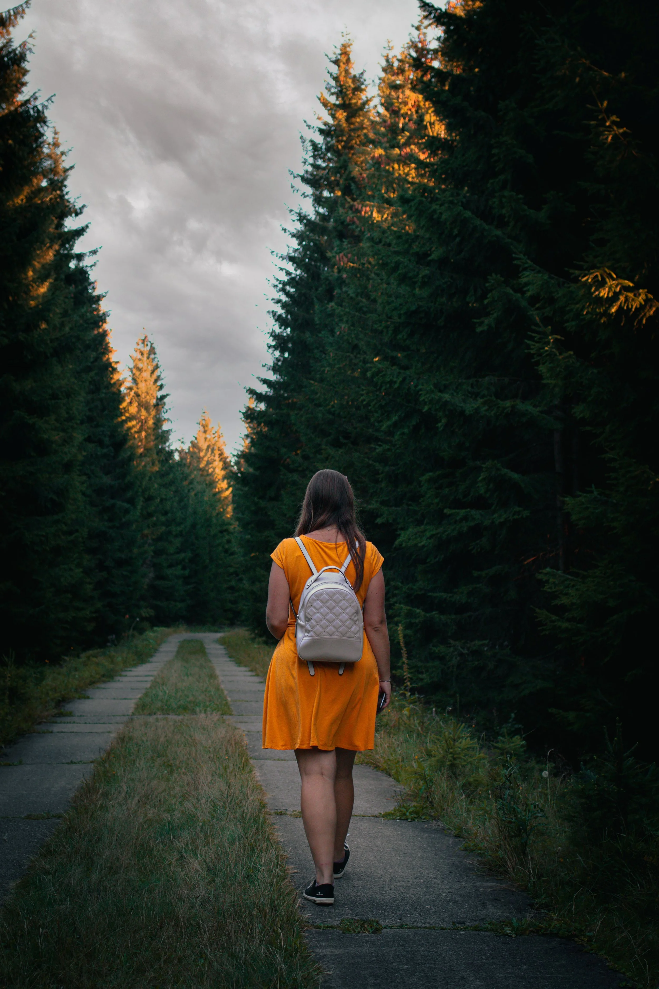 The First Quarter Moon: Finding the Courage to Take the Next Step