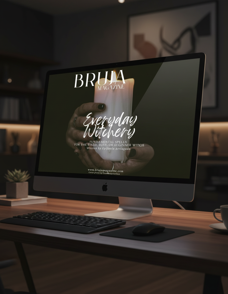 envato-labs-image-edit (13).png