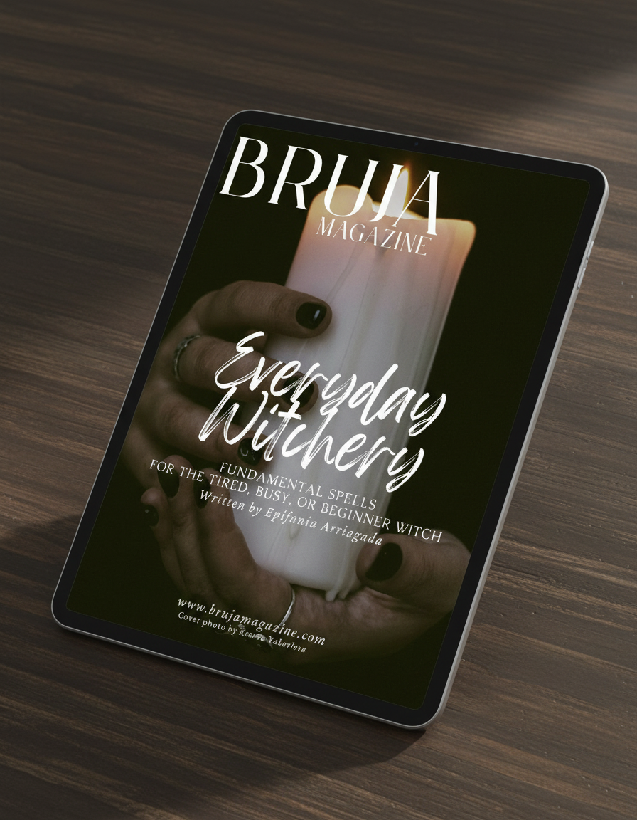 envato-labs-image-edit (12).png