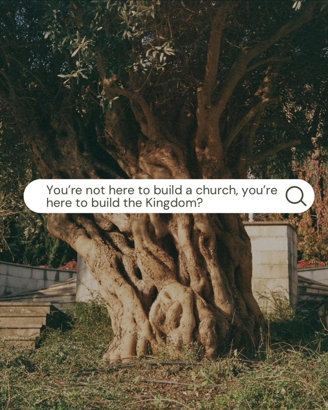 Why do you say you're not here to build a church, you're here to build the kingdom? Didn't you just plant a church? 

Yes➡️swipe to read! 

.

#seattle #kingdom #motivation #inspiration #faith