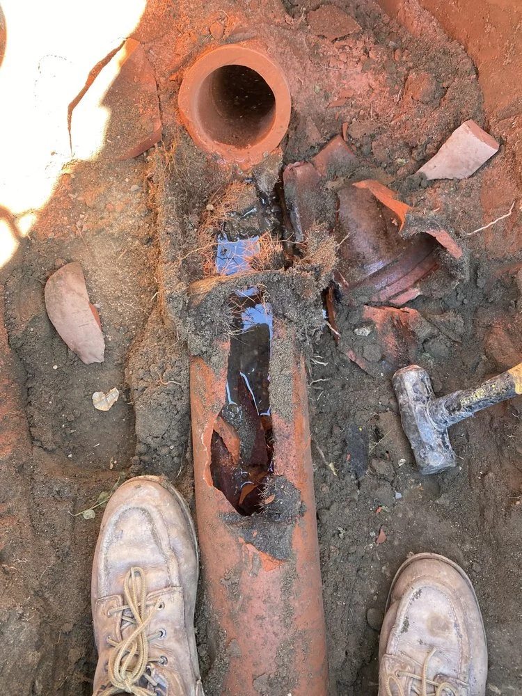 Main sewer line exposed from digging showing it was collapsed 