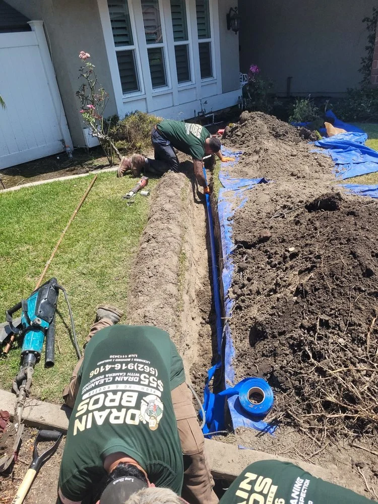 People working on installing a blue drainage pipe in a trench in a backyard, with gardening tools and supplies around, next to a house with white windows and a small shrub with pink flowers.