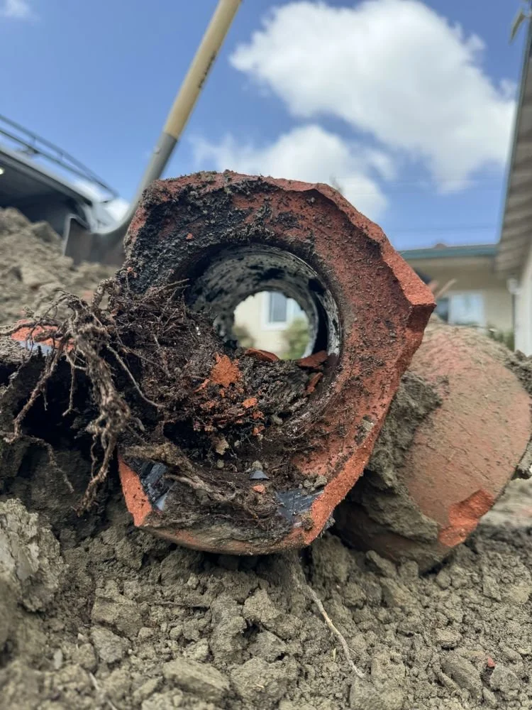 Main sewer line showing signs of root damage