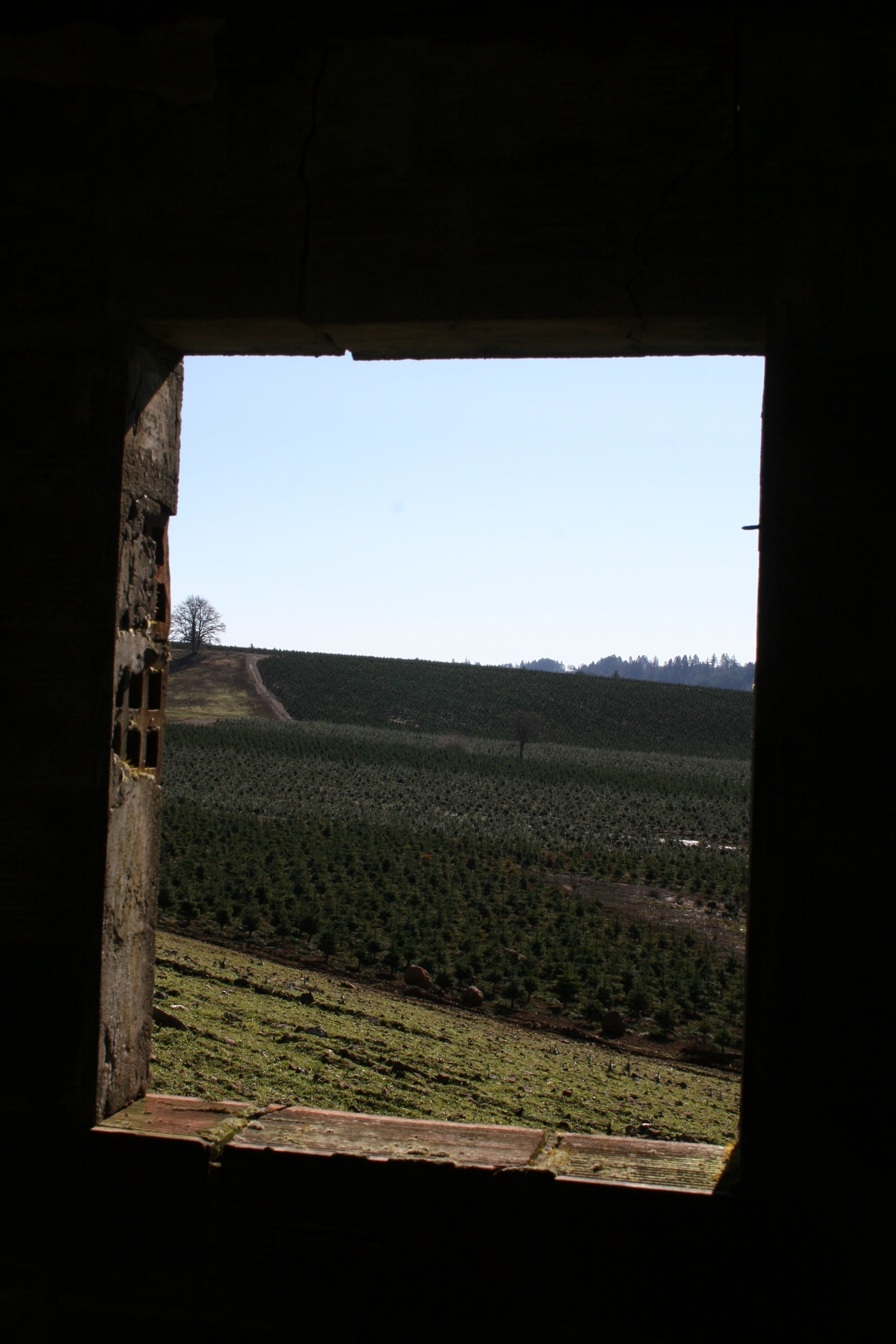 View of a hilly countryside with rows of trees or crops, seen through a small, square, window opening in a dark structure.