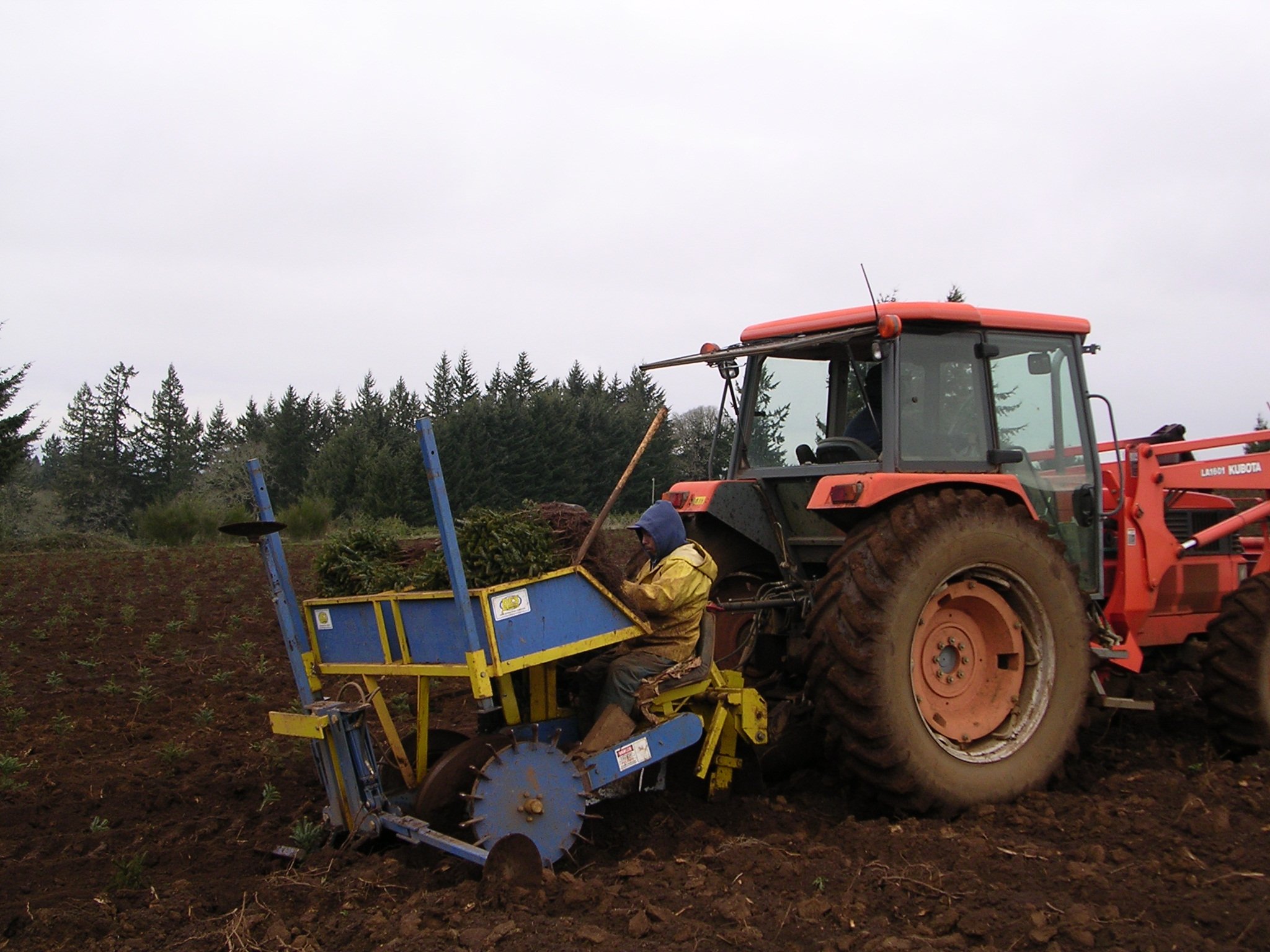 A person operating a tractor with a yellow and blue planting machine attached on a farm field on a cloudy day.