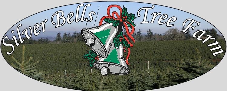 Logo for Silver Bells Tree Farm with two silver bells decorated with a holly and red ribbon, background of a tree farm and a clear sky.