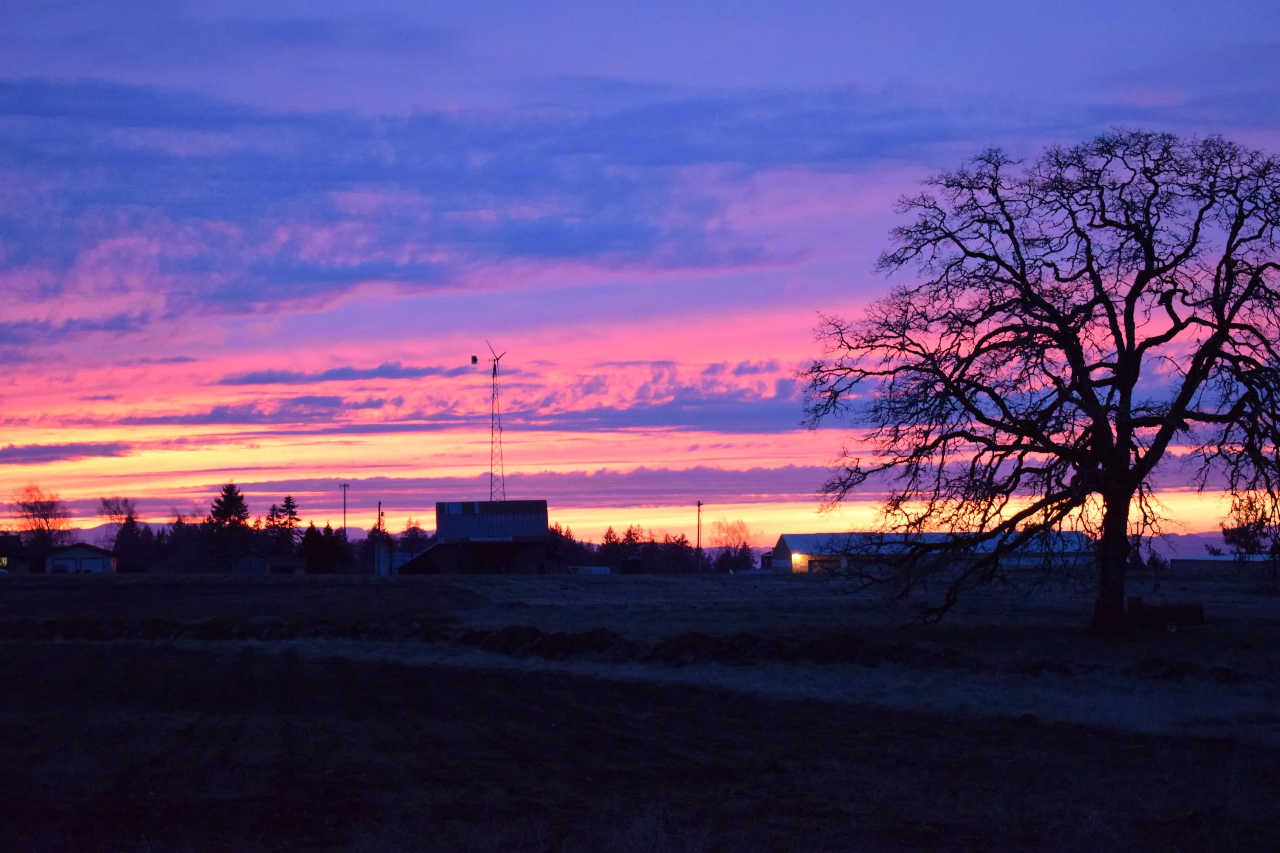 Sunset sky with purple, pink, and orange clouds over a rural landscape with a large leafless tree, small houses, and a wind turbine.