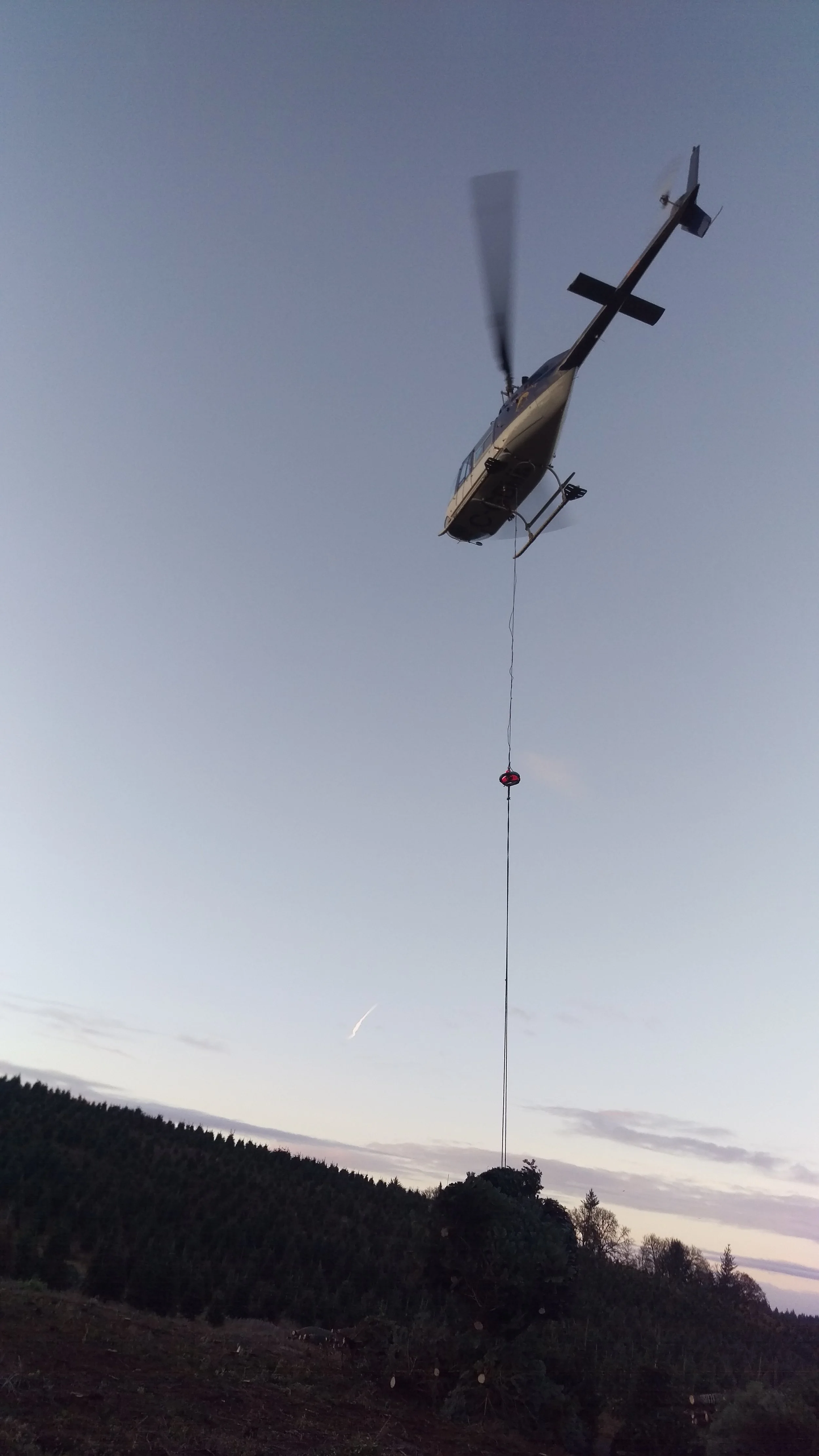 A helicopter flying in the sky with a large tree suspended underneath it by a long rope.