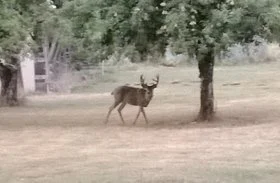 WP_20140830_003 1.jpg