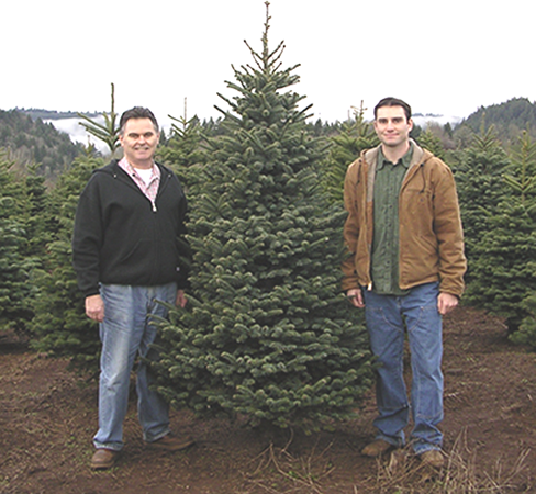Two men standing outdoors next to a large Christmas tree in a tree farm, with trees and hills in the background.