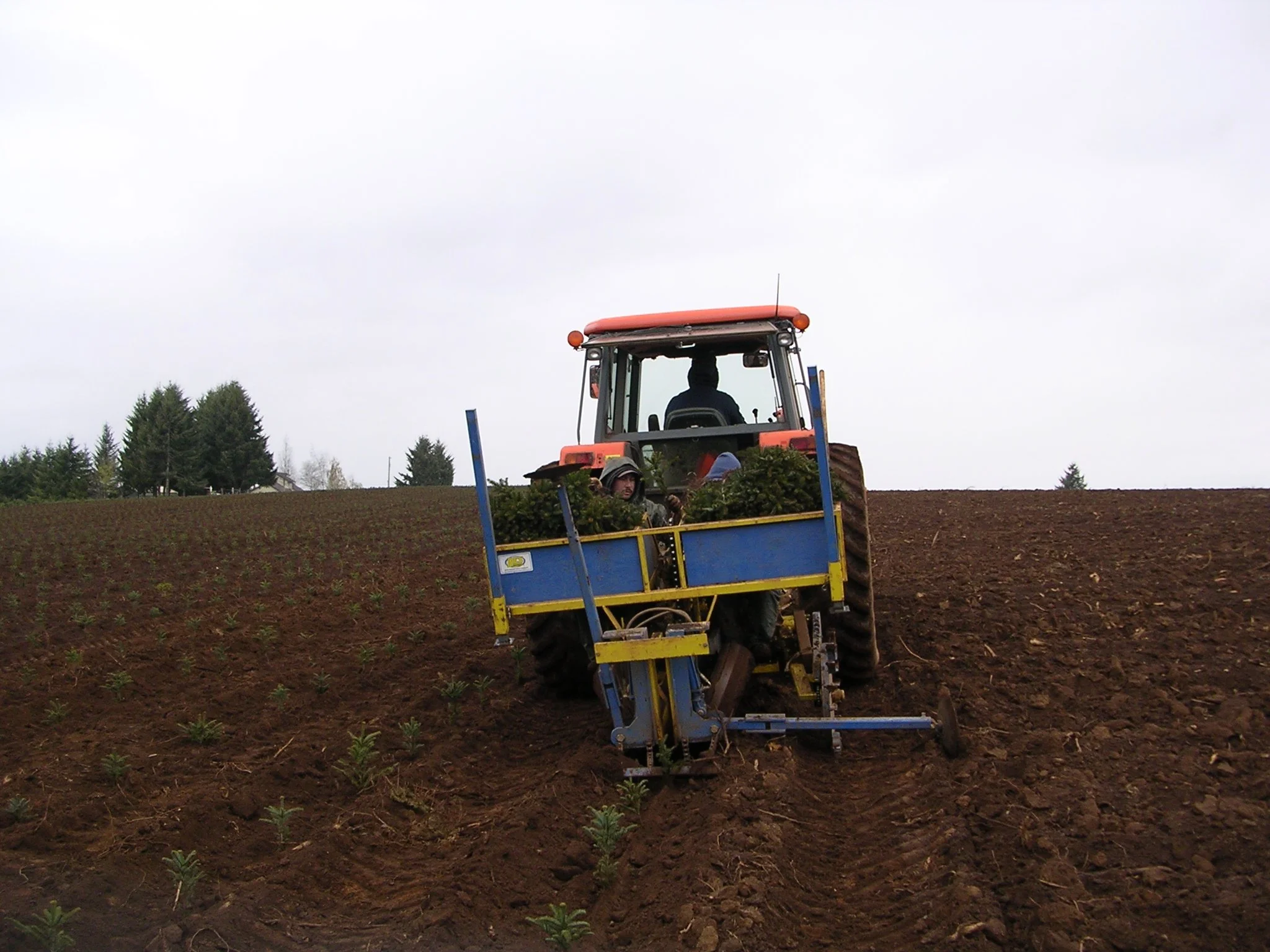 A tractor in a field planting seedlings, with two people visible in the tractor's cabin on an overcast day.