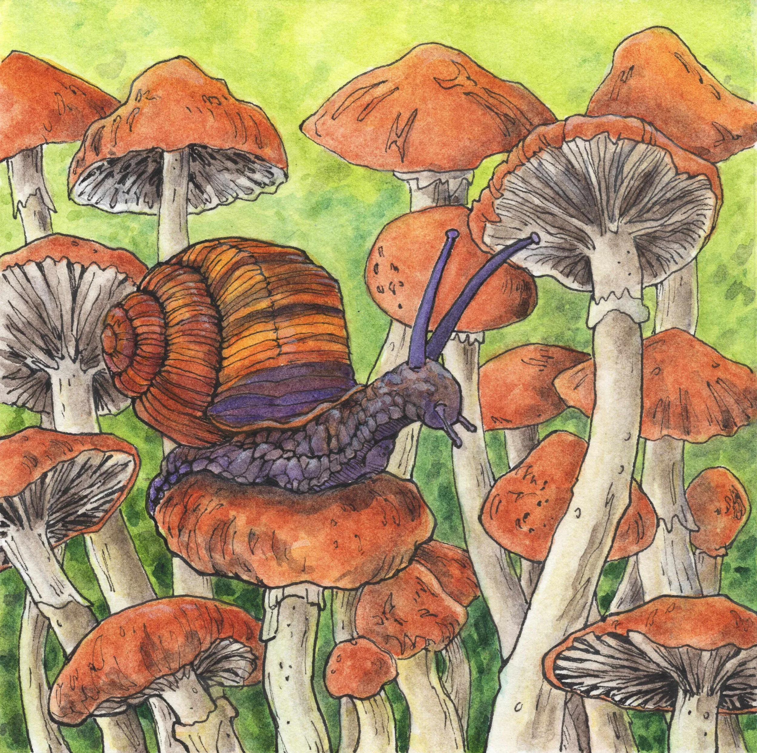 Fungal Forest - Ink and Watercolor
