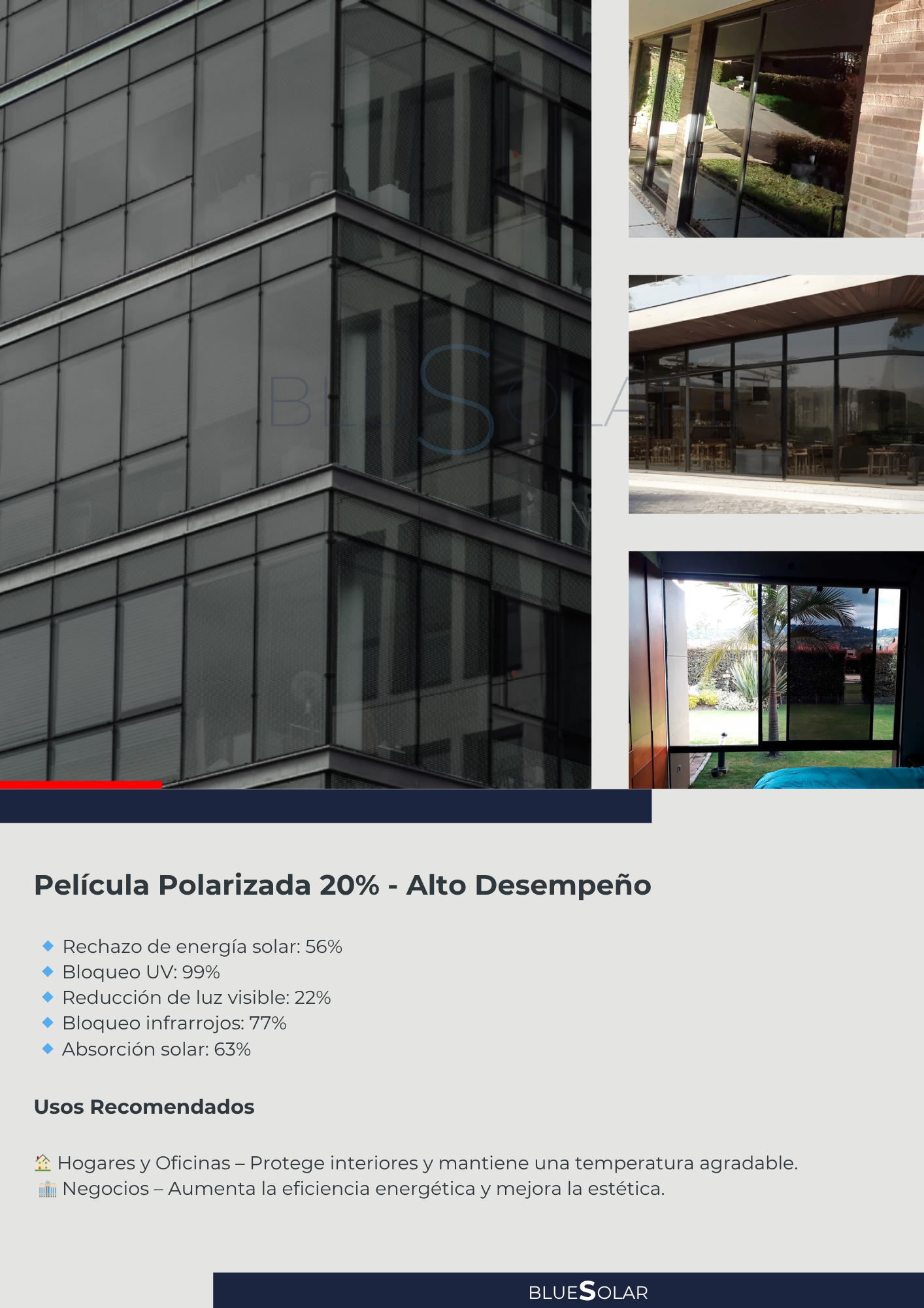 Película Polarizada 20%