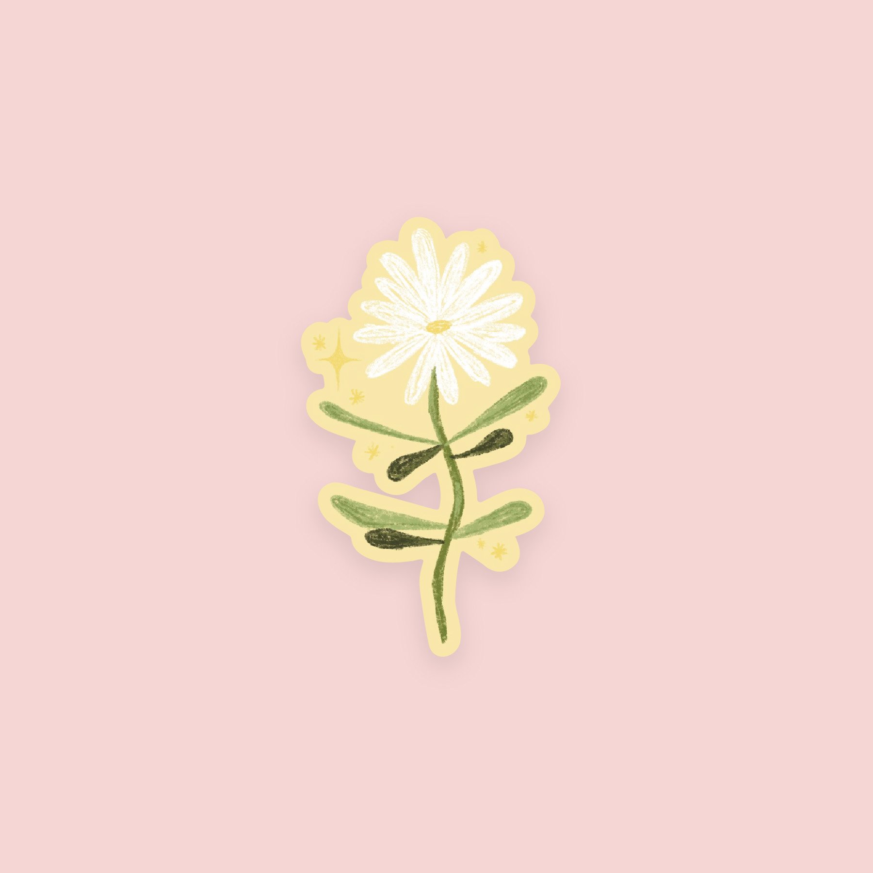 Wild Daisy | 2 x 3 in