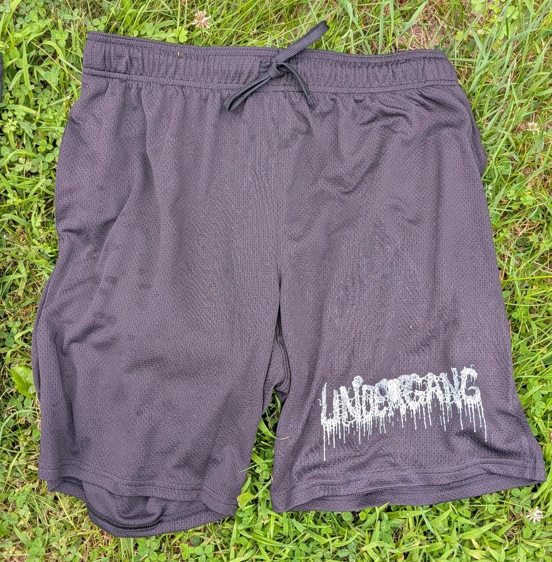 UndergangMesh.png