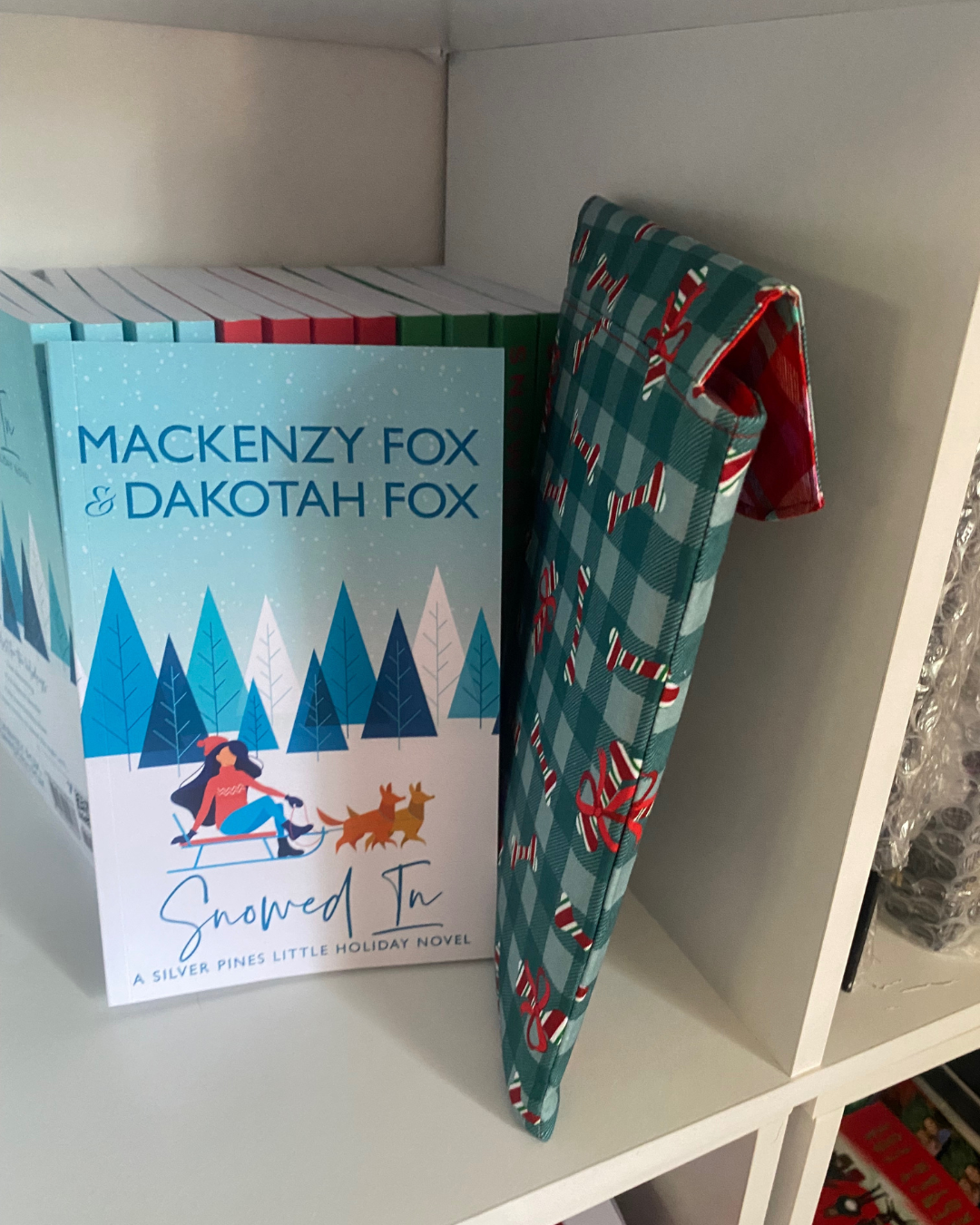 Candy cane pouch3 .png