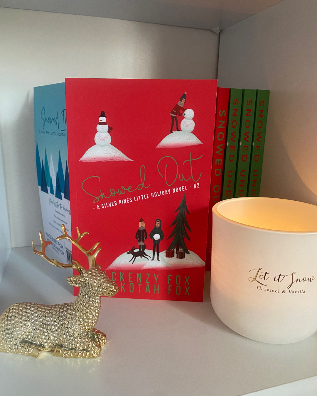 Snowed Out - Paperback book by Mackenzy Fox & Dakotah Fox Book 2